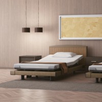 日本Paramount Bed Intime 1000 電動護理床