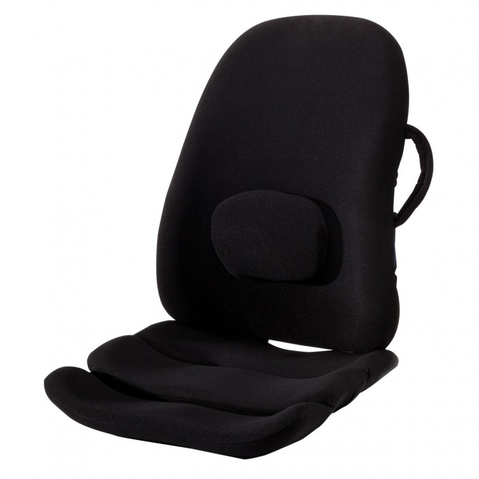 ObusForme Lower Back Support Backrest with Albany Irvin 